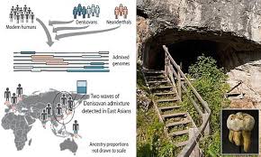 Maybe you would like to learn more about one of these? Modern Humans Interbred With Denisovans Twice Daily Mail Online