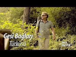 Gesi Baglari Paul Dwyer 22 Youtube 2020 Muzik Zulum Sarkilar