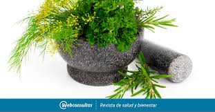 Recetas de cocina caseras y fáciles, pinchos, tapas, entrantes, cocina de vanguardia, cocina el hinojo es una verdura o especia que se usa como condimento desde hace muchísimos años debido. Como Tomar El Hinojo Formulas De Herbolario Belleza Y Bienestar