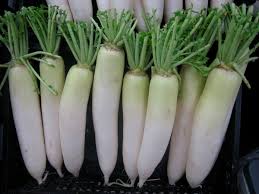 Jícama is a species in the genus pachyrhizus in the bean family (fabaceae). Fruits And Vegetables In The Philippine Folk Song Bahay Kubo Nipa Hut Delishably
