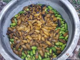 Untuk anda yang ada darah tinggi, petik 3 biji buah belimbing buluh. Mrs Secretary Projek Merebus Belimbing Buluh