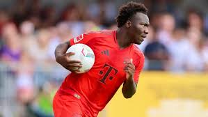 Image result for Nesaea rautanenii