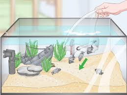 The Best Way To Set Up A Tropical Freshwater Aquarium Wikihow