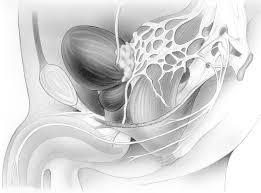 Explains prostate problems including prostatitis and benign prostatic hyperplasia. Prostata Vorsteherdruse Klinik Fur Urologie Bochum