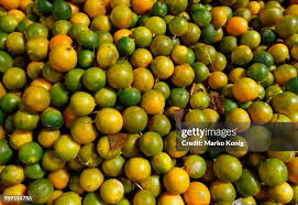 Image result for Citrus × aurantiifolia
