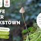 Wildlife Wander in Cookstown event image