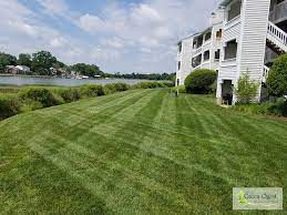 No matter what your lawn care need, we can offer you a service to suit. Quality Lawn Care Services In Hampton Va And Nearby Areas