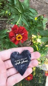 Feb 5 2020 explore dinasoliman961 s board صور 2020 on pinterest. 120 Rose Ideas In 2021 Rose Hair Braid Videos Sky Photography Nature