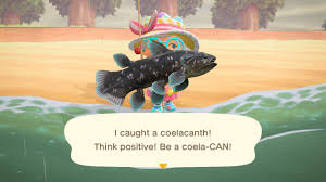 Animal Crossing Fish List Prices