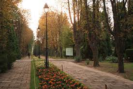 A fost infiintata in 1856 de cel ce ii da numele acum, anastasie fatu, medic si naturalist, este prima grădină botanică universitară fondată în românia. IaÈi Botanical Garden Wikipedia