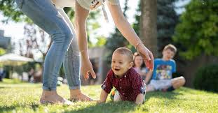 Lawn maintenance snow removal service landscape contractors. 5 Questions To Ask Before Hiring A Lawn Care Services Provider Grass Gobblers Lawn Care