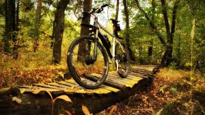 We did not find results for: Achilles Park Gyor Aktualisierte Preise Fur 2021