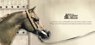 برنامج بطولة جمال الخيل بمهرجان الأمير سلطان بن عبدالعزيز العالمي للجواد العربي 2019 Arabian Horse Horses Arabians