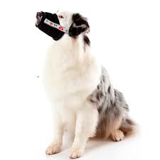 Focinheira costuma ser um objeto polêmico entre os donos, pois existe muito preconceito em torno do tema. Focinheira Conforto Para Contencao Linha Petmed