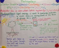 Mrs Paul Biology Photosynthesis Glad Anchor Charts Notes