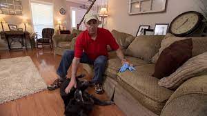 Pet hair can be quite difficult to remove from furniture and carpet. How To Clean Pet Hair Off Furniture Today S Homeowner With Danny Lipford Youtube