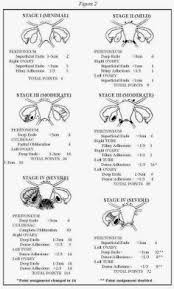 Typically, endometriosis is classified as minimal, mild, moderate, or severe based upon visual. 41 Stage 4 Endometriosis Adenomyosis Ideas Endometriosis Endometriosis Awareness Stage 4 Endometriosis