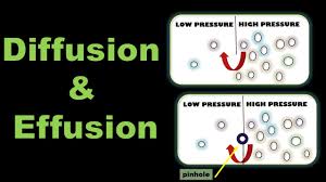 Diffusion Real Life Examples Urdu Hindi Diffusion In Urdu Class 9 11 Chemistry Biology Youtube