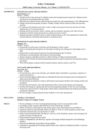 manager, programming resume samples