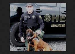Lawsuit: Police K9 bites innocent customer at store's grand opening