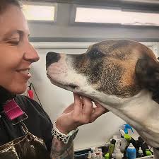 Clean Paws & Zoomies