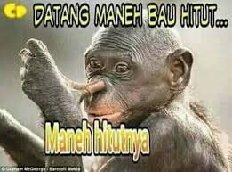 Preman pensiun 5,preman pensiun 5,preman pensiun 5 24 april 2021,preman pensiun 5 episode 14,preman pensiun 5 episode 14 24 april 2021,preman pensiun 5 live preman pensiun 5 hari ini 10 mei 2021 full episode 30 no iklan no zoom kang cecep turun ke terminal. Kumpulan Gambar Lucu Komentar Facebook Funny Laughest Gambar Lucu Lucu Humor Lucu