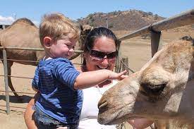 Remember, we are not picking up trash from another person but instead cleaning up for mother nature. Oasis Camel Dairy San Diego Reader