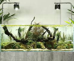 Have created breathtakingly serene water gardens, natural pools, and waterfall installations for residents throughout hawaii. Aquascaping Landscape Gardening But Underwater Financial Times