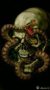 #cobra kiss #gif #snake kissing #snake gif. Skull Snake Gif Find Share On Giphy Snake Wallpaper Snake Art Eyeball Art