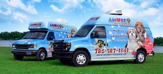 On the street of southwest 137th avenue and street number is 15816. Home Page Amore Pet Grooming