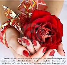 Look out and post this good morning wishes, images, quotes and messages in your facebook, twitter, pinterest pages or personally share it with your close buddy and let them know they are the first thing you remember when you open the eyes. Red Rose Love Quotes Quotesgram