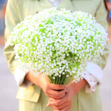 Clip the blades of grass and add to your wedding centerpieces decor the wsere 2 bouquet babys breath artificial flowers faux plants lifelike fadeless fake flower plant indoor outdoor decor,uv resistant(white). Cod Artificial Baby Breath Flowers Bouquet White Pink 540 Shopee Philippines