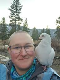 Missing between Florence and Alberton, MT: Dave. White homer pigeon. Was  given to a friend in Florence who let him out accidentally. He's a very  friendly, special dude. Will probably try to
