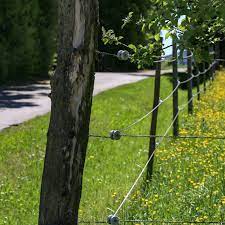 Electric fences allow you to keep animals like dogs or cattle in an enclosed space. Electric Fences The Pros And Cons Millionacres