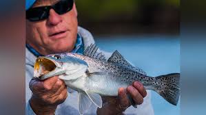 Watch Addictive Fishing