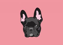 1 housebreaking your french bulldog. Best French Bulldog Crate For 2020 Find The Review