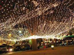 Panoramio Photo Of Canopy Of Christmas Lights Ocala Florida Ocala Florida Visit Florida Florida