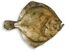 Check spelling or type a new query. Filetti Di Rombo In Insalata Pesce Insalate Alimenti Sani