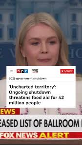 Hey Highland Park! Local elections matter! Take a moment to meet these  awesome neighbors who are running for office in Highland Park! Rachel  Jacoby