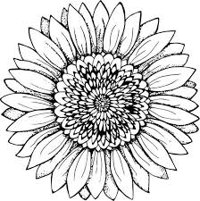 Black And White Line Art Sunflower Drawing Sunflower Sunflower Drawing Sunflower Black And White Flower Illustration