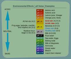 Includes radioactivity, organic, synthetic, volatile, inorganic, biological compounds. Tds And Ph Safe Drinking Water Foundation