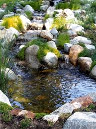 Come here to enjoy pictures, videos, articles diy backyard pond and landscape water feature. Picture Of Small Yet Adorable Backyard Pond Ideas For Your Garden 20