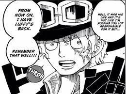 Sabo Protecting Luffy One Piece Manga One Piece Chapter Sabo One Piece