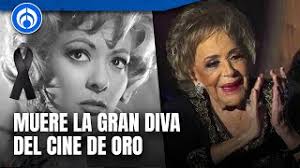 Silvia Pinal huyó en la cajuela de un automóvil: Estos son los problemas  legales que enfrentó