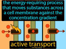 Active Transport Easy Science Cell Membrane Life Science Easy Science