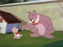 Tom And Jerry Tyke Spike Tom And Jerry Cartoon Shows Cartoon