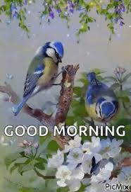 Good morning images birds and flowers. Good Morning Birds Gif Good Morning Birds Butterflies Discover Share Gifs