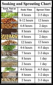 Sprouting Soaking Chart From Sarah The Healthy Home
