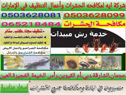 شركة ايه0503628081 شركة تنظيف بالشارقه شركة تنظيف في دبي شركة تنظيف ام القوين تنظيف كنب بالشارقه تنظيف سجاد بالشارقه مكافحه حشرات بالشارقه تنظيف بالبخار Comic Book Cover Book Cover Books