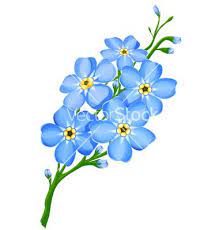 Forget Me Not Flowers Vector Art Download Green Vectors 54844 Flower Drawing Forget Me Not Tattoo Flowers